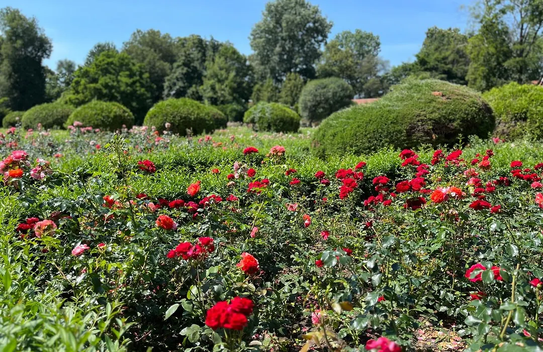 Dedek Park - dworek w pięknym Parku Skaryszewskim obok Stadionu Narodowego-1